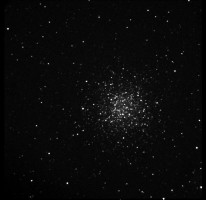 M55