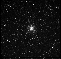 M56