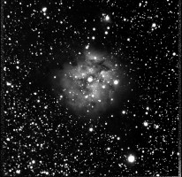 Cocoon Nebula