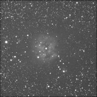 Cocoon Nebula