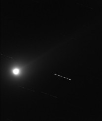 Lovejoy 11/20/13