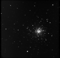 M10