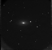 Sunflower Galaxy