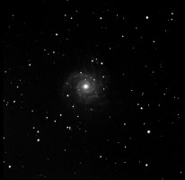 M74