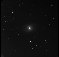 M95