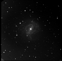 Southern Pinwheel